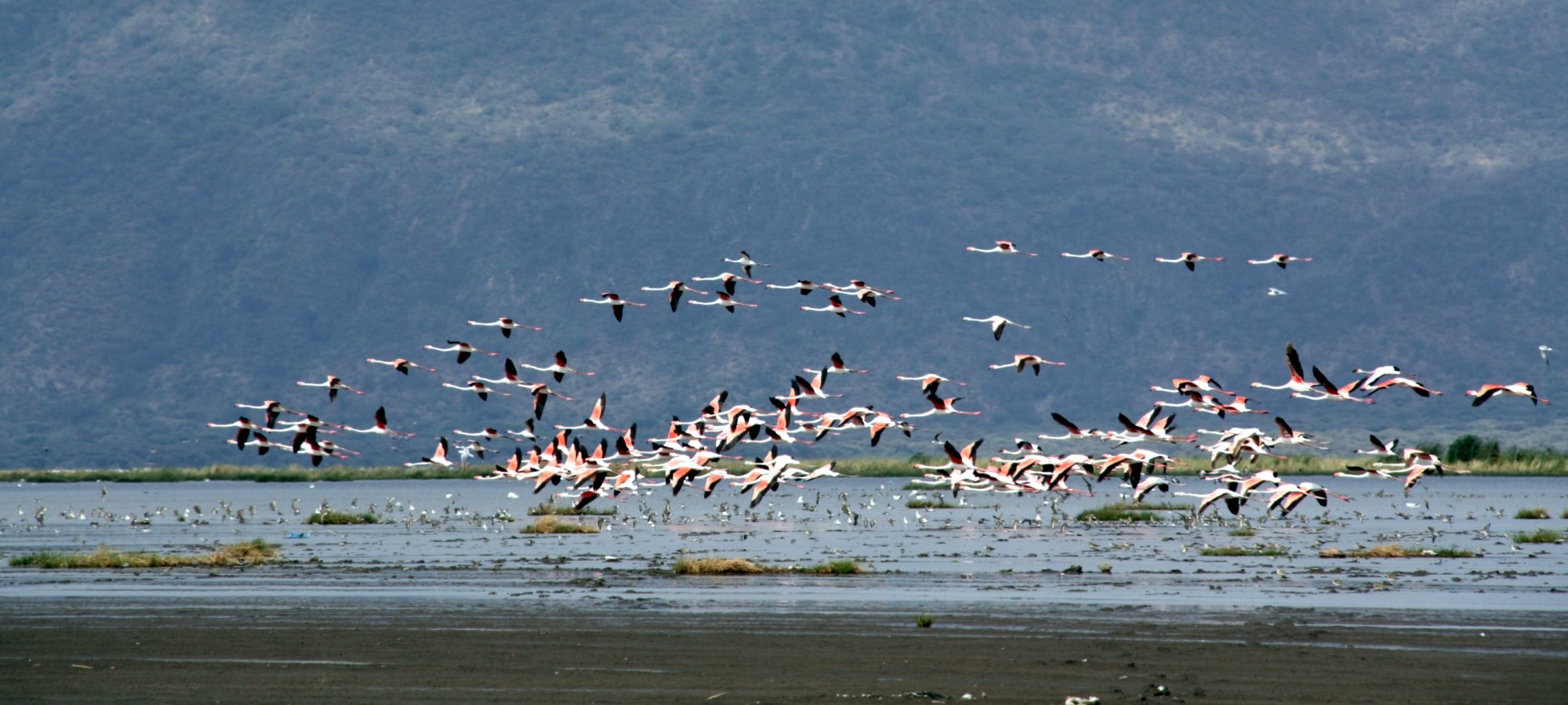 lake manyara national park
